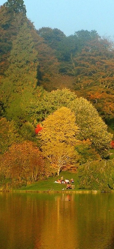 PeelitStickit, Beautiful Nature Wall Murals, ID-0678, vinyl