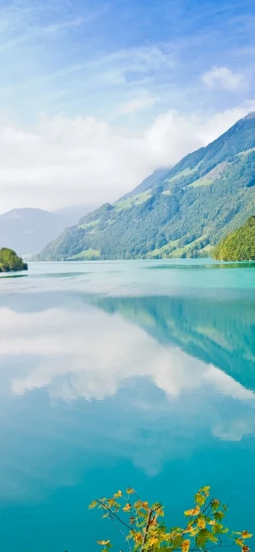 PeelitStickit, Beautiful Nature Wall Murals, ID-0691, vinyl