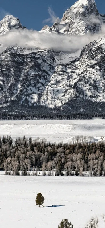 PeelitStickit, Beautiful Nature Wall Murals, ID-0697, vinyl