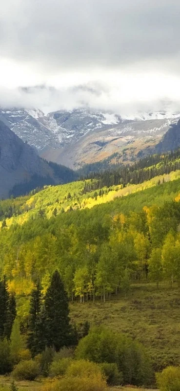 PeelitStickit, Beautiful Nature Wall Murals, ID-0708, vinyl