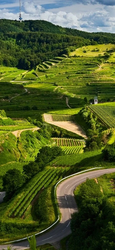 PeelitStickit ID-0711 60 Width x 130 cm Height Beautiful Nature Vinyl Wall Mural