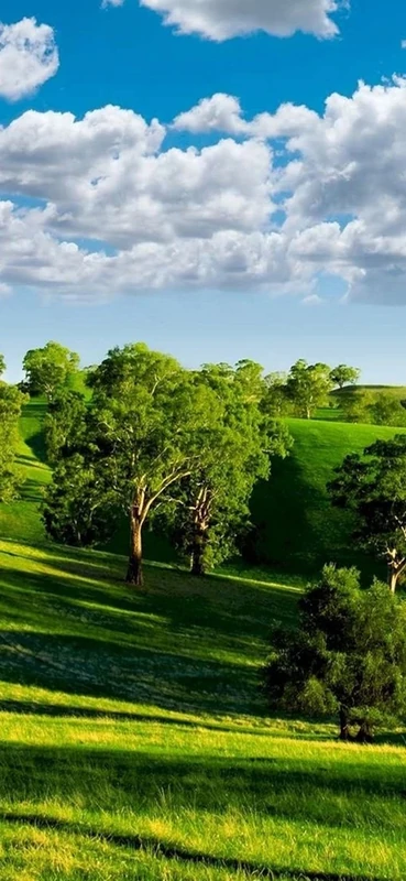 PeelitStickit, Beautiful Nature Wall Murals, ID-0714, vinyl