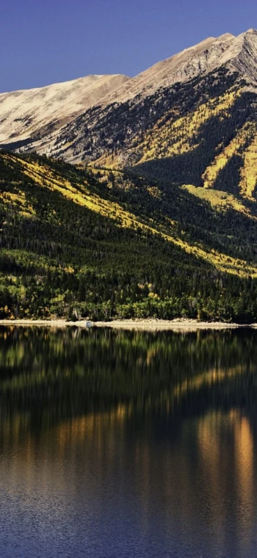 PeelitStickit, Beautiful Nature Wall Murals, ID-0727, vinyl