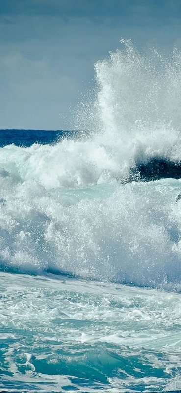 PeelitStickit, Beautiful Nature Wall Murals, ID-0730, vinyl