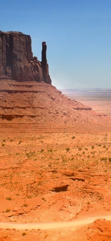 PeelitStickit, Beautiful Nature Wall Murals, ID-0732, vinyl