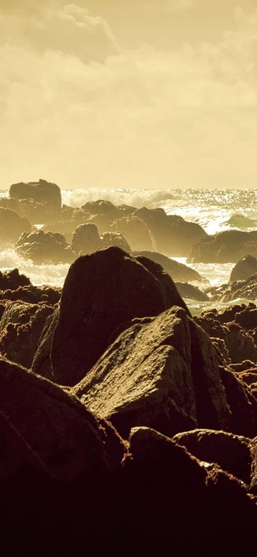 PeelitStickit, Beautiful Nature Wall Murals, ID-0731, vinyl