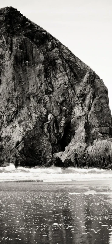 PeelitStickit, Beautiful Nature Wall Murals, ID-0735, vinyl