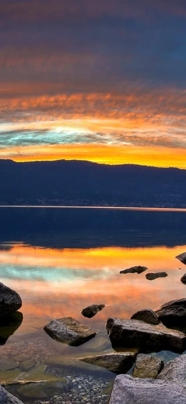 PeelitStickit, Beautiful Nature Wall Murals, ID-0750, vinyl