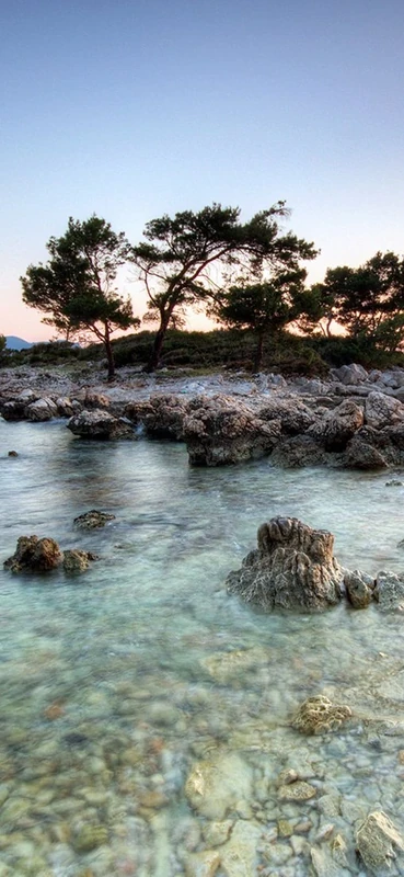 PeelitStickit, Beautiful Nature Wall Murals, ID-0756, vinyl