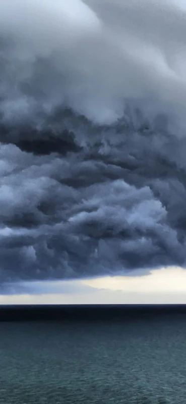 PeelitStickit, Beautiful Nature Wall Murals, ID-0768, vinyl