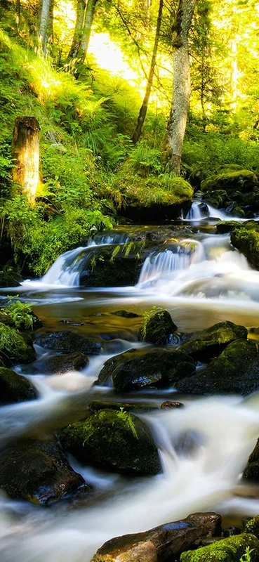 PeelitStickit, Beautiful Nature Wall Murals, ID-0776, vinyl