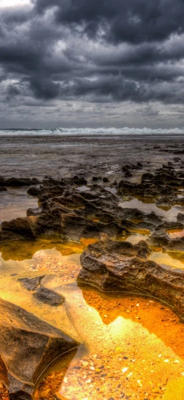 PeelitStickit, Beautiful Nature Wall Murals, ID-0771, vinyl