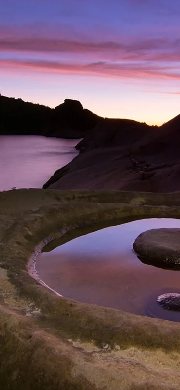 PeelitStickit, Beautiful Nature Wall Murals, ID-0787, vinyl