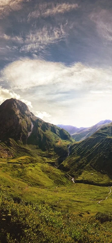 PeelitStickit, Beautiful Nature Wall Murals, ID-0786, vinyl