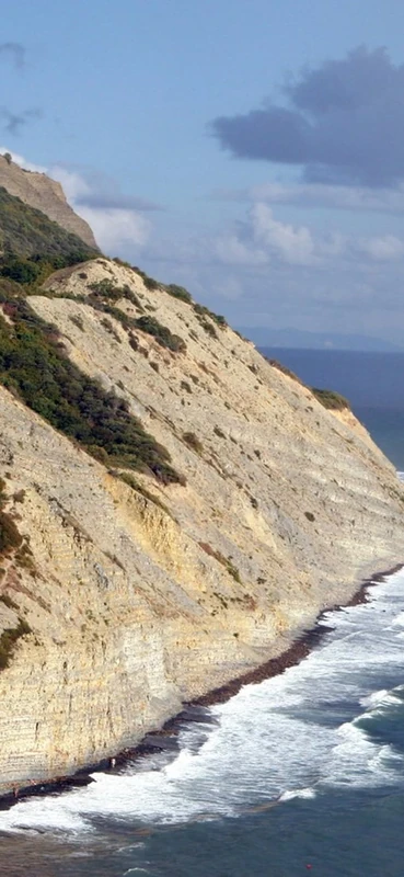 PeelitStickit, Beautiful Nature Wall Murals, ID-0811, vinyl