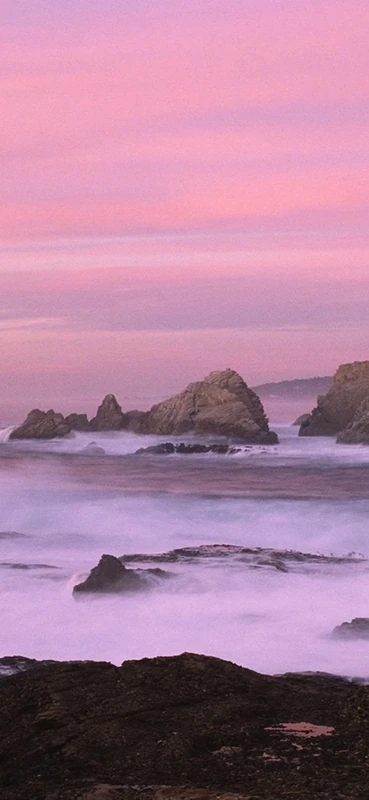 PeelitStickit, Beautiful Nature Wall Murals, ID-0808, vinyl