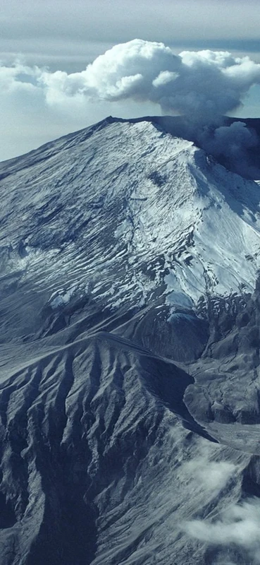 PeelitStickit, Beautiful Nature Wall Murals, ID-0820, vinyl