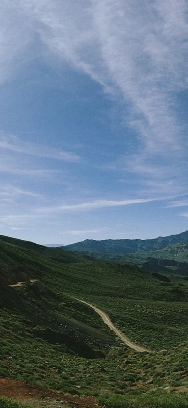 PeelitStickit, Beautiful Nature Wall Murals, ID-0821, vinyl