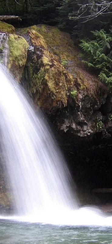 PeelitStickit, Beautiful Nature Wall Murals, ID-0825, vinyl