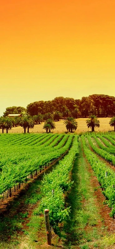 PeelitStickit, Beautiful Nature Wall Murals, ID-0831, vinyl