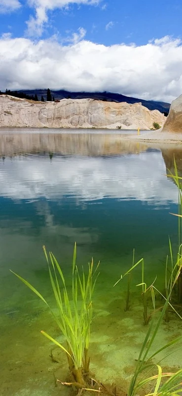 PeelitStickit, Beautiful Nature Wall Murals, ID-0829, vinyl