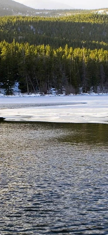 PeelitStickit, Beautiful Nature Wall Murals, ID-0843, vinyl