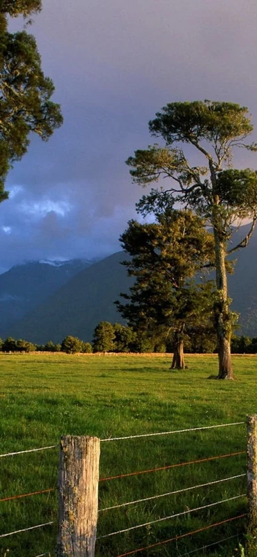 PeelitStickit, Beautiful Nature Wall Murals, ID-0842, vinyl