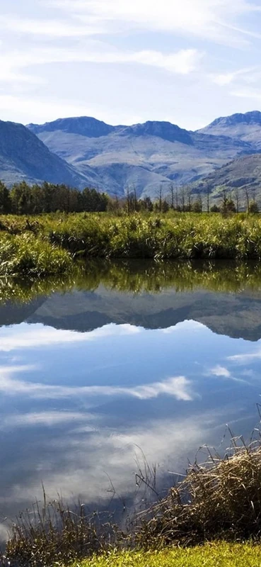 PeelitStickit, Beautiful Nature Wall Murals, ID-0855, vinyl