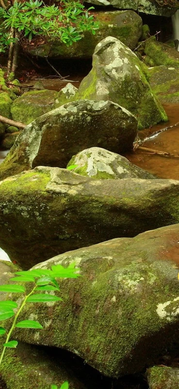 PeelitStickit, Beautiful Nature Wall Murals, ID-0858, vinyl