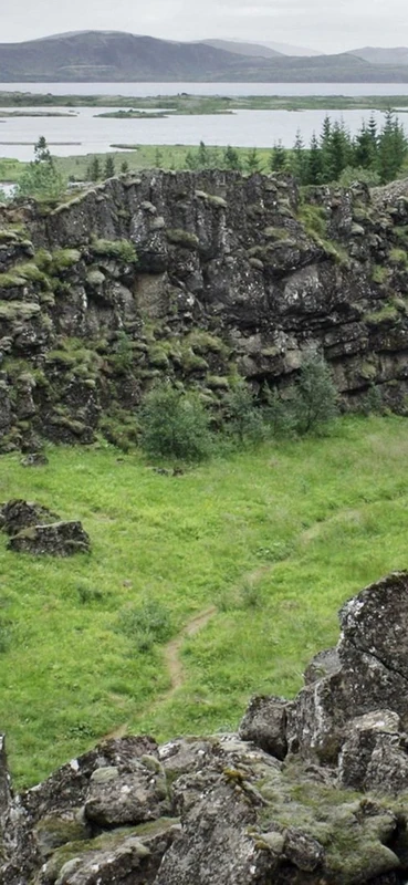 PeelitStickit, Beautiful Nature Wall Murals, ID-0882, vinyl