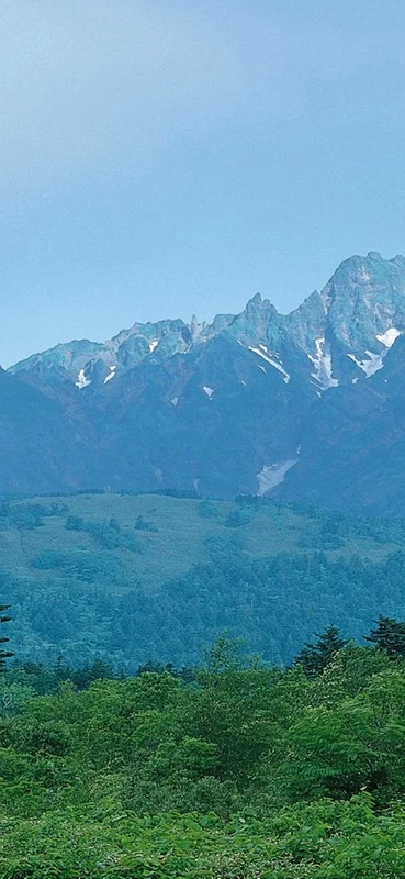 PeelitStickit, Beautiful Nature Wall Murals, ID-0888, vinyl