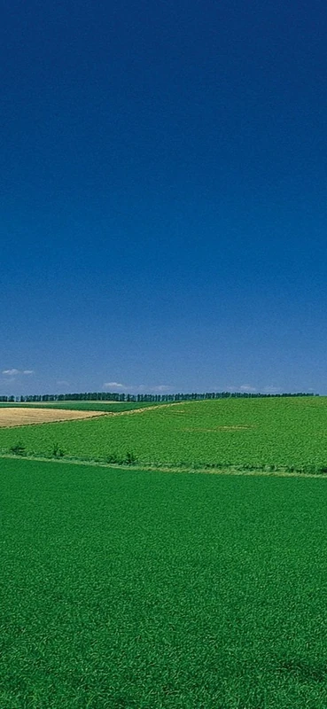 PeelitStickit, Beautiful Nature Wall Murals, ID-0883, vinyl