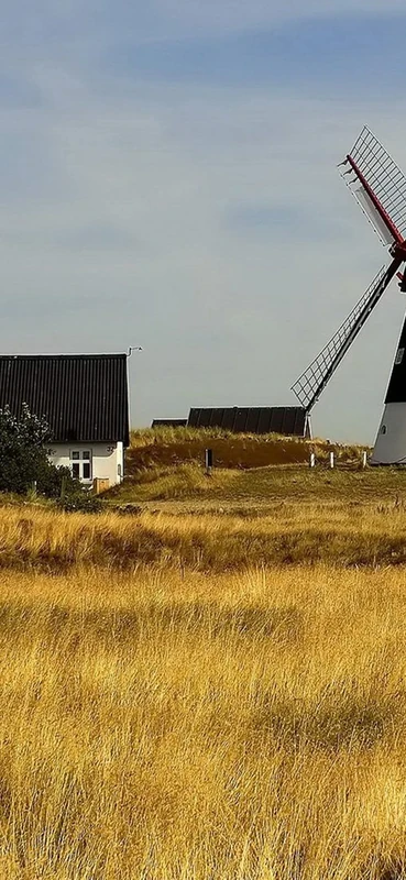 PeelitStickit, Beautiful Nature Wall Murals, ID-0889, vinyl