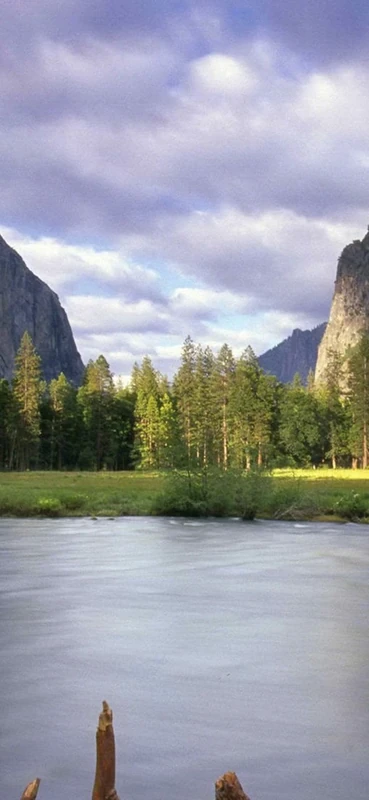 PeelitStickit, Beautiful Nature Wall Murals, ID-0947, vinyl