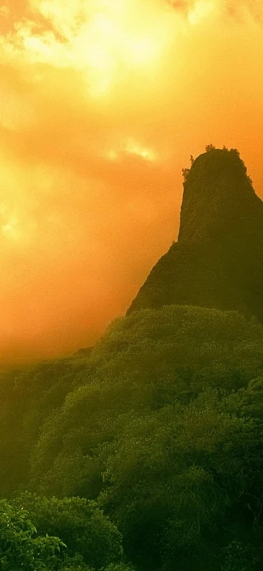 PeelitStickit, Beautiful Nature Wall Murals, ID-0970, vinyl