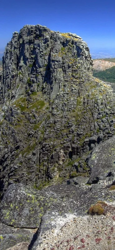 PeelitStickit, Beautiful Nature Wall Murals, ID-0971, vinyl