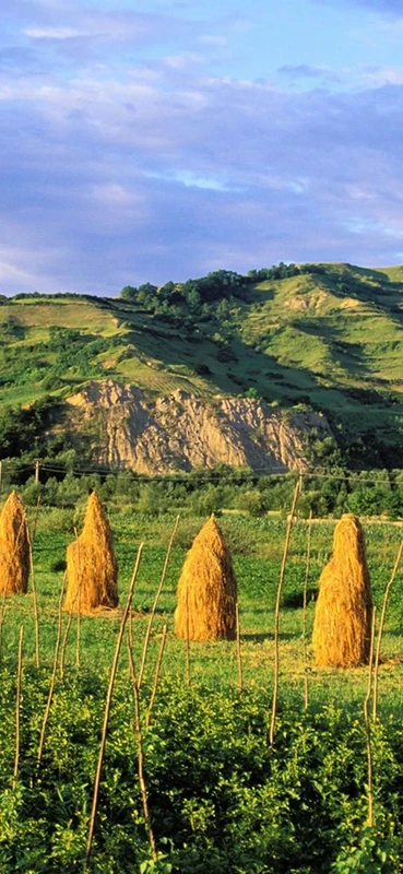 PeelitStickit, Beautiful Nature Wall Murals, ID-0983, vinyl