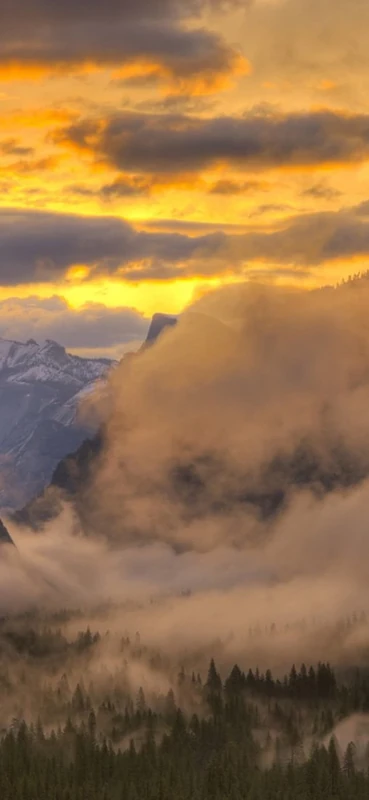 PeelitStickit, Beautiful Nature Wall Murals, ID-0985, vinyl