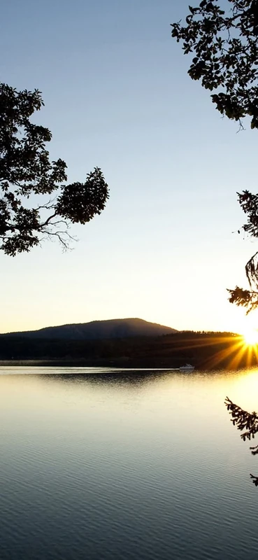 PeelitStickit, Beautiful Nature Wall Murals, ID-0994, vinyl