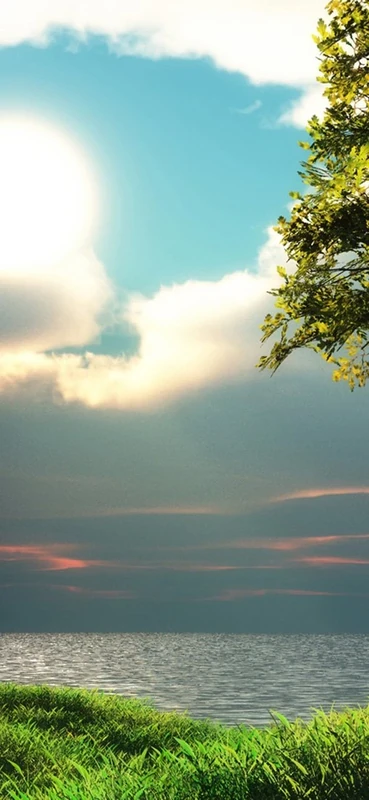 PeelitStickit, Beautiful Nature Wall Murals, ID-0997, vinyl