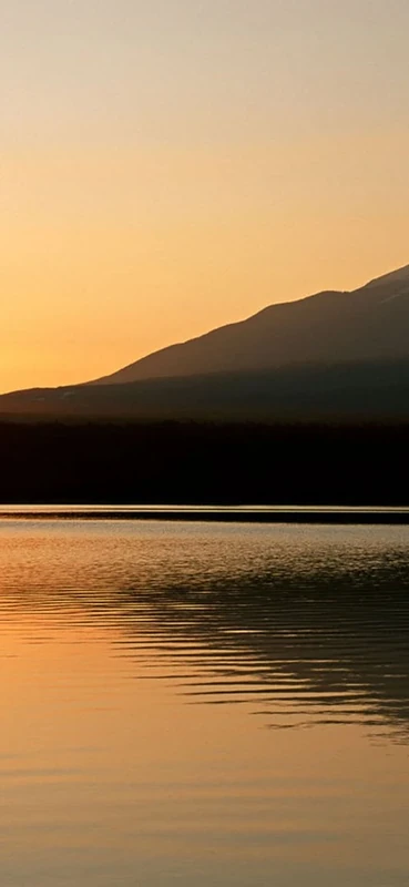 PeelitStickit, Beautiful Nature Wall Murals, ID-1003, vinyl