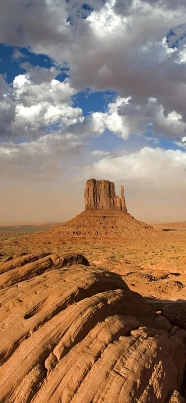 PeelitStickit, Beautiful Nature Wall Murals, ID-1012, vinyl