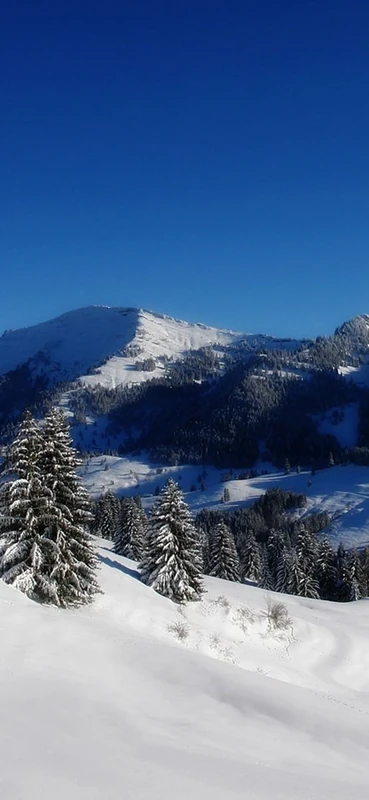 PeelitStickit, Beautiful Nature Wall Murals, ID-1028, vinyl