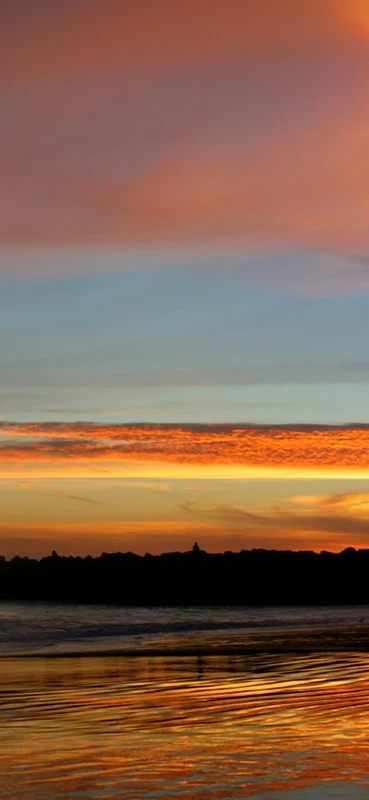 PeelitStickit, Beautiful Nature Wall Murals, ID-1037, vinyl