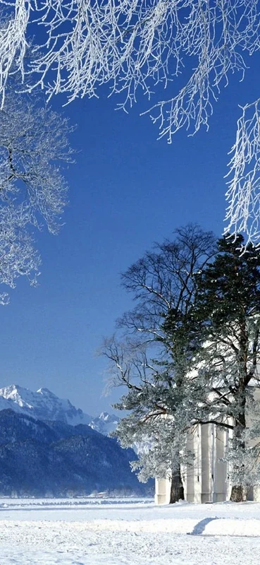 PeelitStickit, Beautiful Nature Wall Murals, ID-1044, vinyl