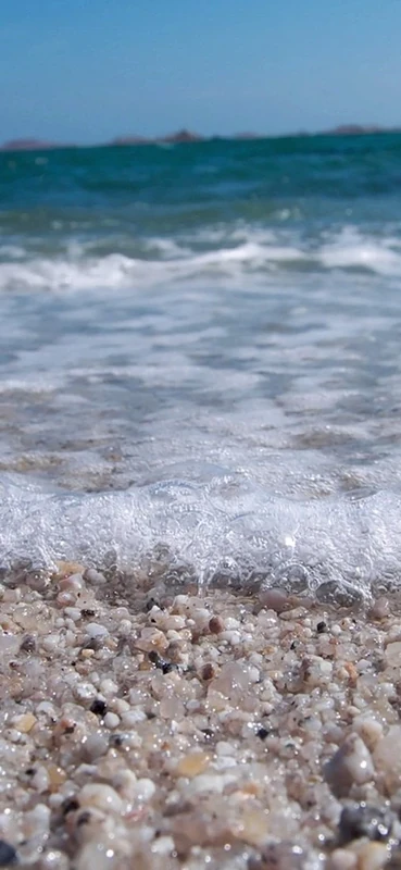 PeelitStickit, Beautiful Nature Wall Murals, ID-1060, vinyl