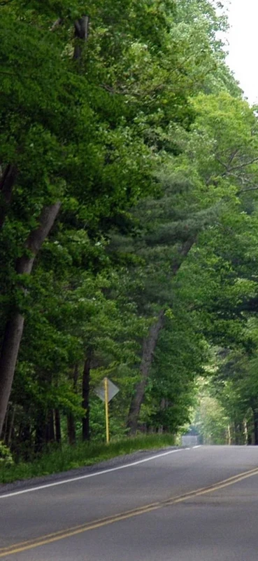 PeelitStickit, Beautiful Nature Wall Murals, ID-1072, vinyl