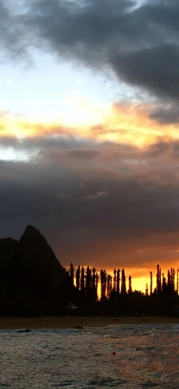 PeelitStickit, Beautiful Nature Wall Murals, ID-1073, vinyl