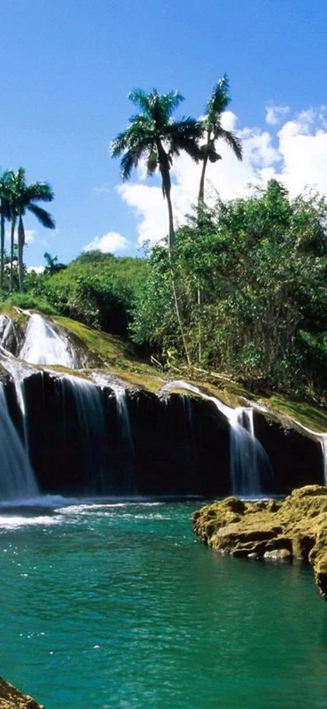 PeelitStickit, Beautiful Nature Wall Murals, ID-1081, vinyl