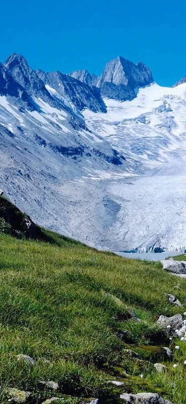 PeelitStickit, Beautiful Nature Wall Murals, ID-1085, vinyl